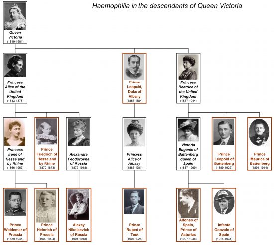 Haemophilia_of_Queen_Victoria_-_family_tree_by_shakko - History of
