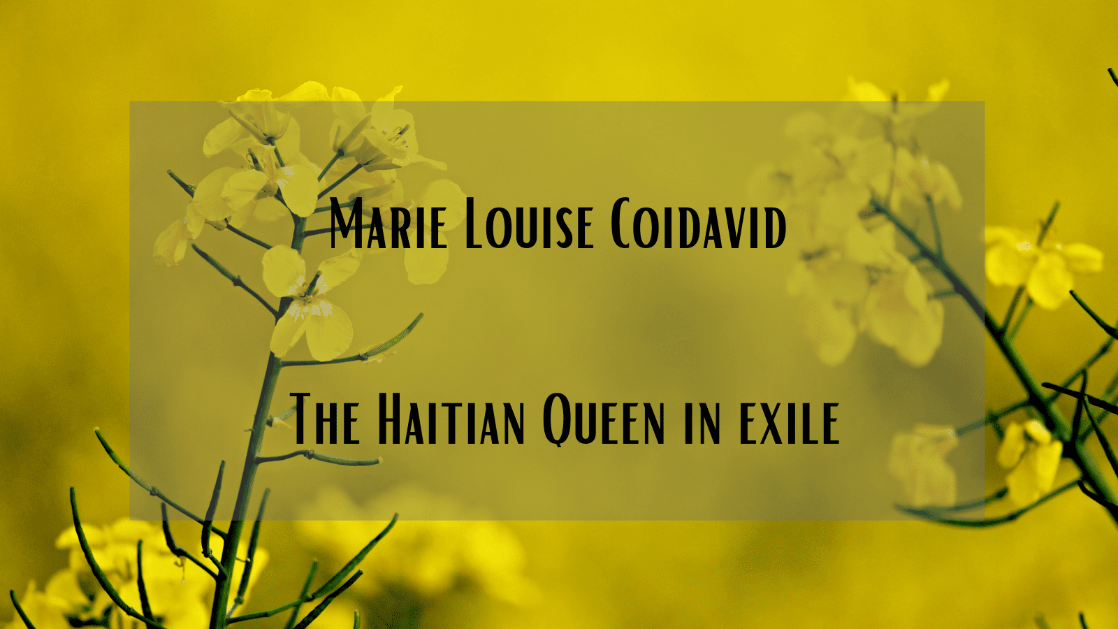 Marie Louise Coidavid The Haitian Queen in exile (Part two) History of Royal Women
